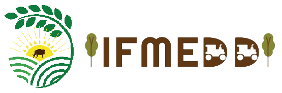 logo ifmedd horizontal